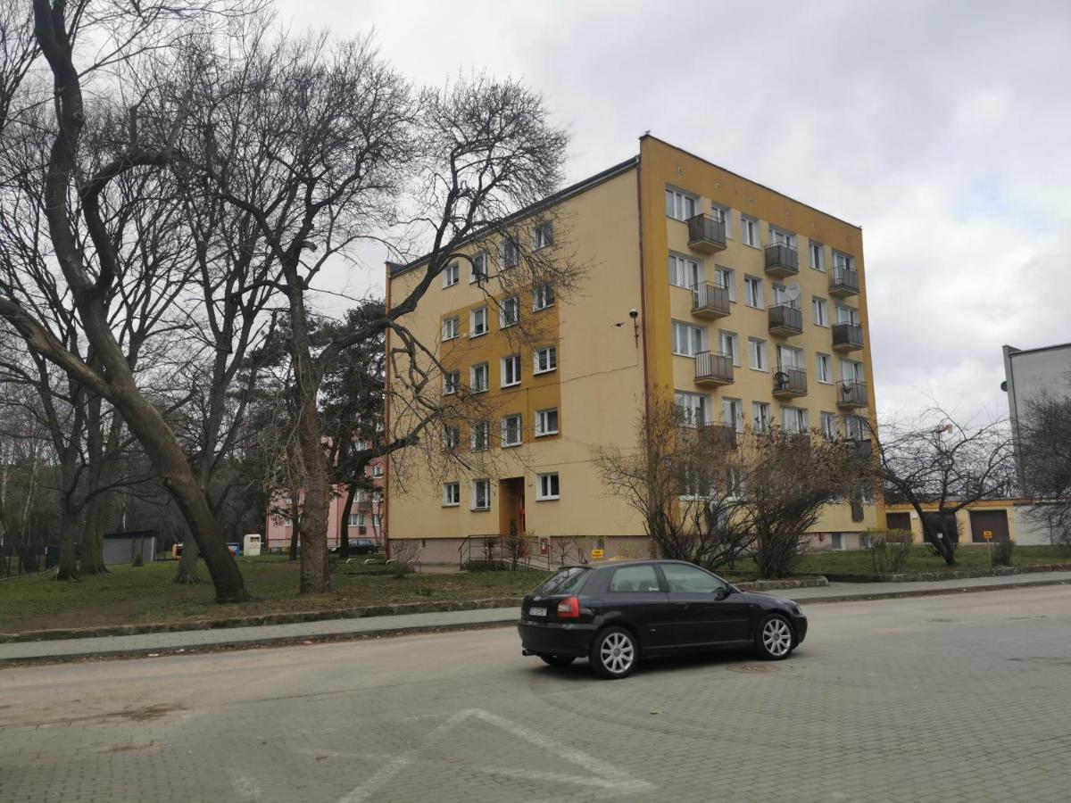 Mieszkanie Brzezno Przy Plazy Gdansk Bagian luar foto