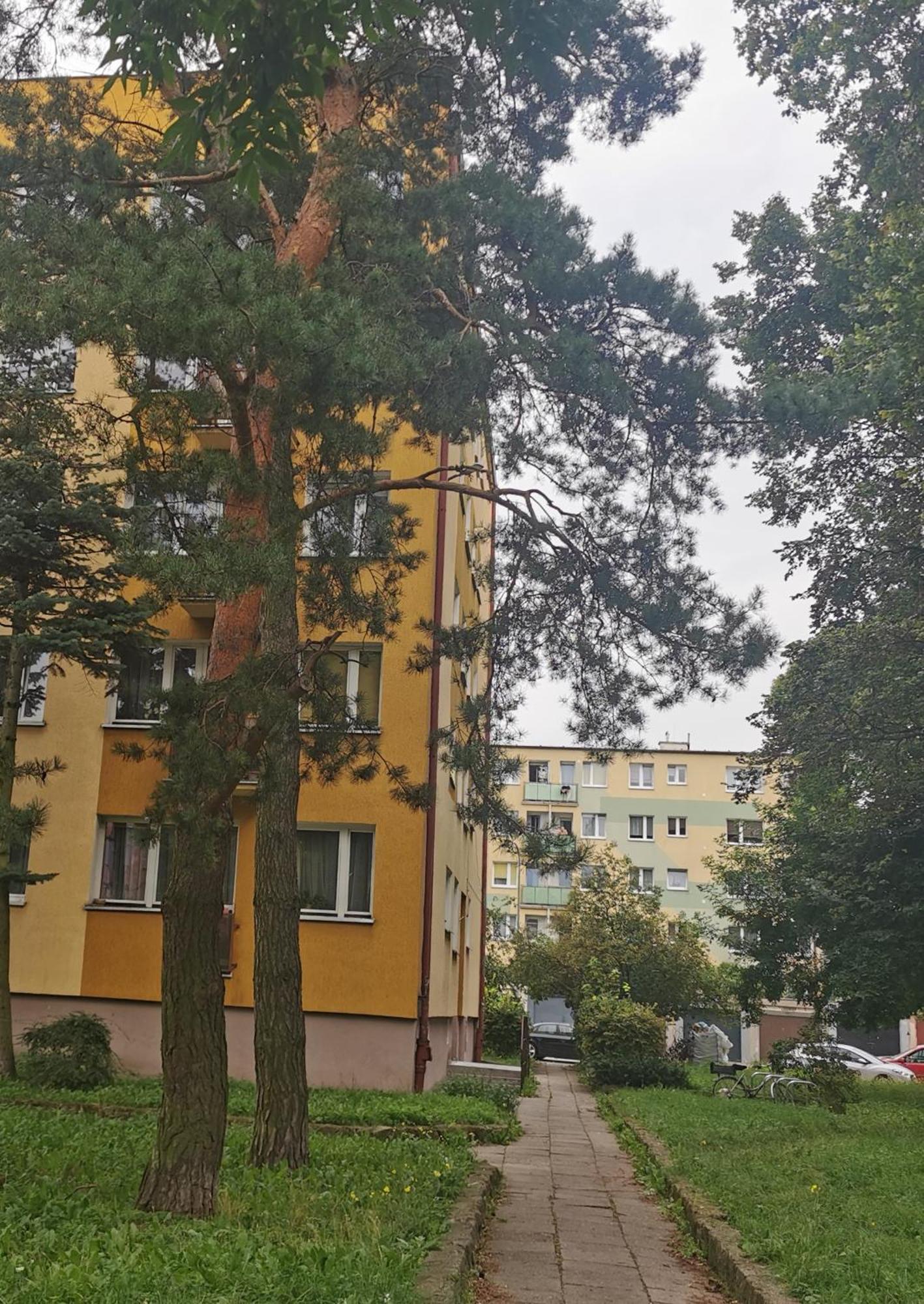 Mieszkanie Brzezno Przy Plazy Gdansk Bagian luar foto